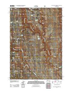 2011 Map of Buck Trough Spring, 2011 Print