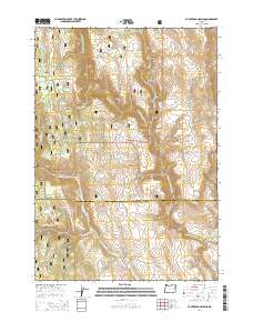 2014 Map of Buck Trough Spring, 2014 Print