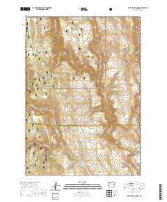 2020 Map of Buck Trough Spring, 2020 Print
