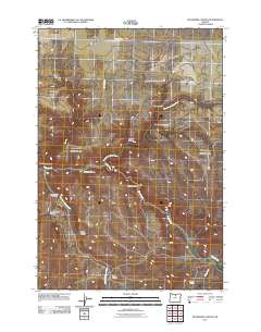 2011 Map of Buckhorn Canyon, 2011 Print