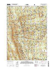 2014 Map of Buckhorn Springs, 2014 Print