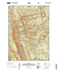 2020 Map of Buckhorn Springs, 2020 Print
