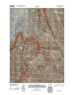 2011 Map of Buffalo Well, 2011 Print