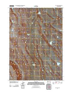 2011 Map of Bull Lake, 2011 Print