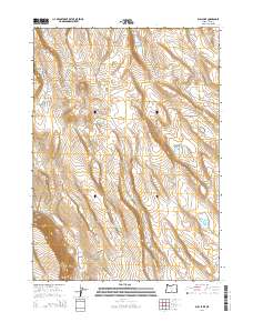 2014 Map of Bull Lake, 2014 Print