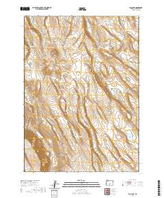 2020 Map of Bull Lake, 2020 Print