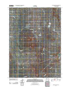 2011 Map of Burns Junction, 2011 Print