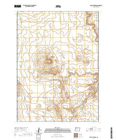 2020 Map of Burns Junction, 2020 Print