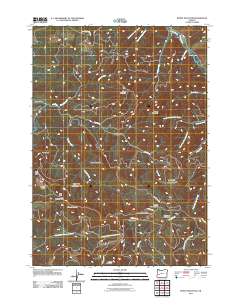 2011 Map of Burnt Mountain, 2011 Print