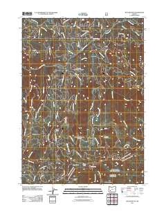 2011 Map of Butler Butte, 2011 Print