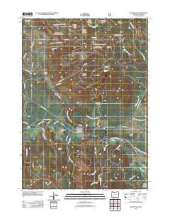 2011 Map of Butte Falls, 2011 Print