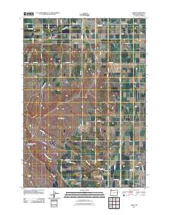 2011 Map of Cairo, 2011 Print