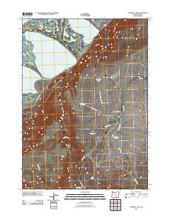 2011 Map of Campbell Lake, 2011 Print