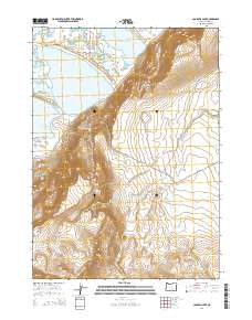 2014 Map of Campbell Lake, 2014 Print