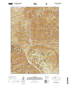 2020 Map of Canyon Mountain, 2020 Print