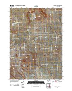 2011 Map of Capehart Lake, 2011 Print