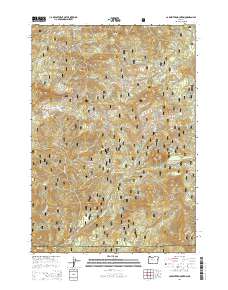 2014 Map of Carpenter Mountain, 2014 Print
