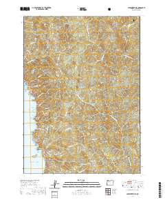 2020 Map of Carpenterville, 2020 Print