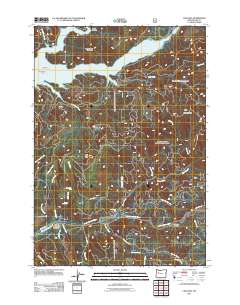 2011 Map of Cascadia, 2011 Print