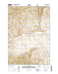 2014 Map of Castle Creek, 2014 Print