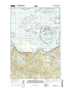 2014 Map of Cathlamet Bay, 2014 Print