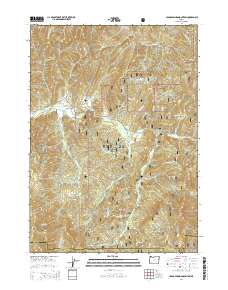 2014 Map of Cedar Springs Mountain, 2014 Print
