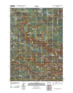 2011 Map of Chandler Mountain, 2011 Print