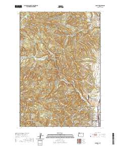 2020 Map of Chapman, 2020 Print