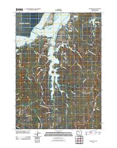 2011 Map of Charleston, 2011 Print