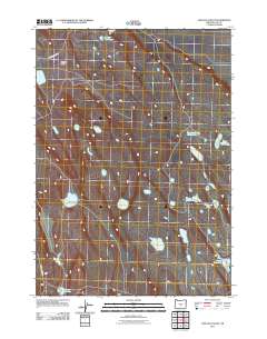 2011 Map of Chicago Valley, 2011 Print