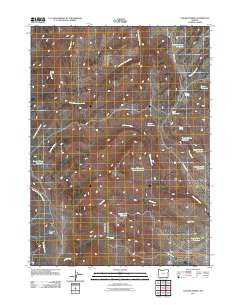 2011 Map of Chicken Spring, 2011 Print