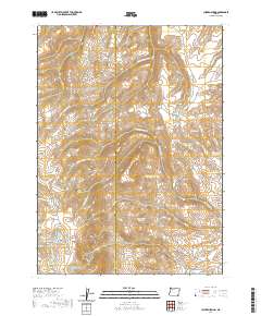 2020 Map of Chicken Spring, 2020 Print