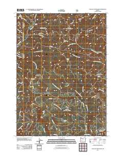 2011 Map of Chilcoot Mountain, 2011 Print