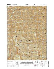2014 Map of Chilcoot Mountain, 2014 Print