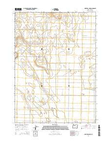 2014 Map of Christmas Lake, 2014 Print