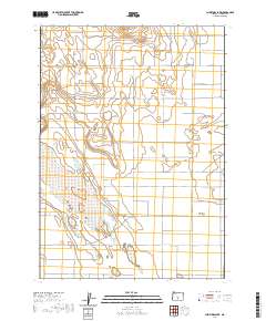 2020 Map of Christmas Lake, 2020 Print