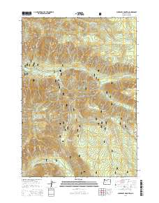 2014 Map of Chucksney Mountain, 2014 Print