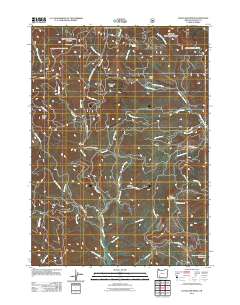 2011 Map of Cleveland Ridge, 2011 Print