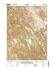 2014 Map of Clover Flat, 2014 Print