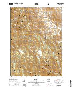 2020 Map of Clover Flat, 2020 Print