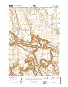 2014 Map of Clover Swale, 2014 Print