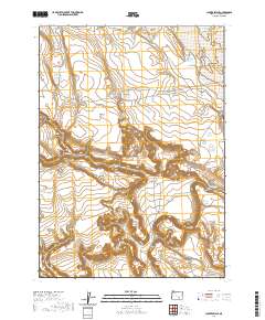 2020 Map of Clover Swale, 2020 Print