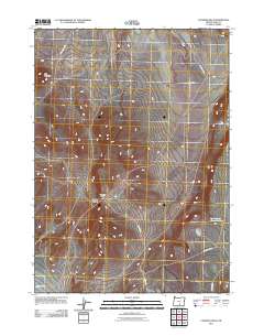 2011 Map of Coleman Hills, 2011 Print