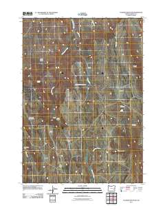 2011 Map of Coleman Mountain, 2011 Print