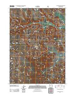 2011 Map of Coleman Point, 2011 Print