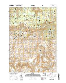 2014 Map of Collins Butte, 2014 Print
