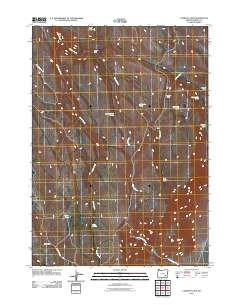 2011 Map of Comegys Lake, 2011 Print