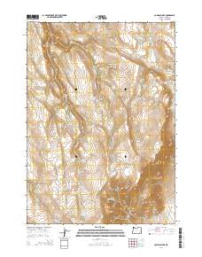 2014 Map of Comegys Lake, 2014 Print