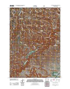 2011 Map of Committee Creek, 2011 Print
