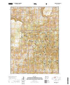 2020 Map of Conant Basin, 2020 Print